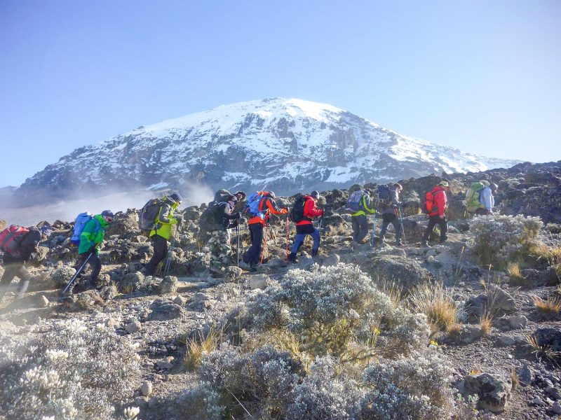 kilimanjaro climbing tour